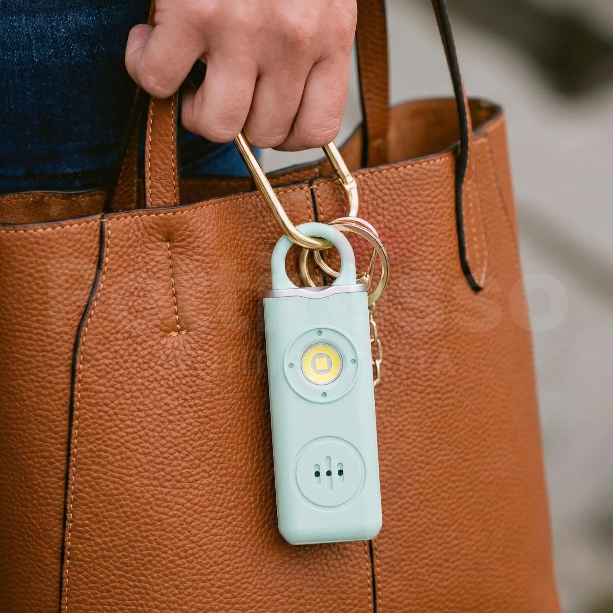 PETTIROSSO® Allarme Personale